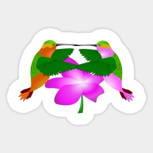 Hummingbirds (small image) Sticker